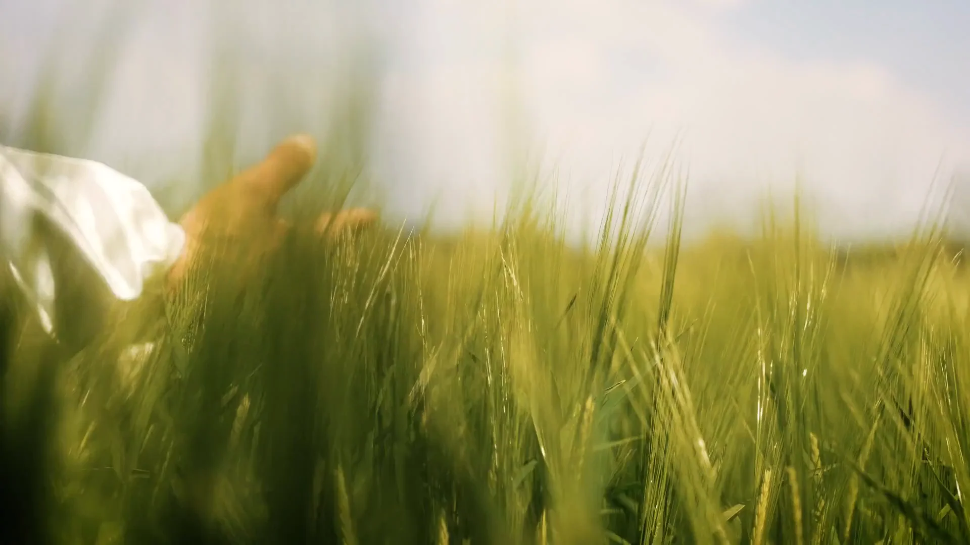 Kerim Duygu, Martial Artist & Coach